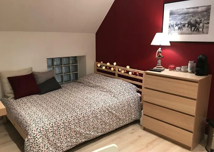 Appartement - Proche Orly Et Paris Palaiseau