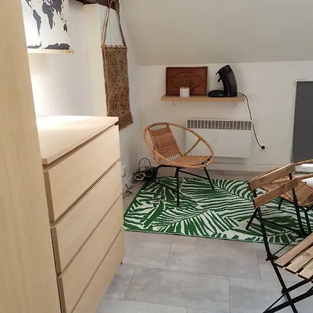 - Proche Orly Et Paris Apartment Palaiseau
